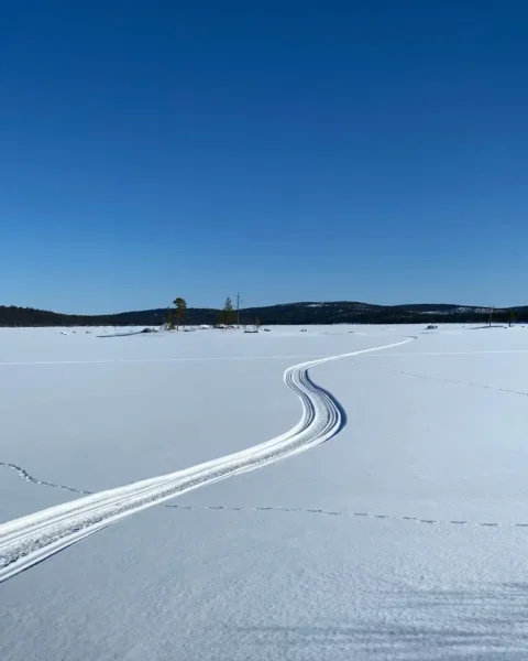 spur im schnee