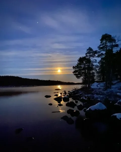 see und bäume im lilaschwarzen abendlicht