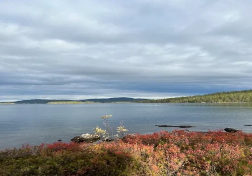 herbstfarben lappland